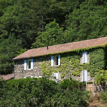Bed and Breakfast Les Jardins De Lumiere Brusque Exterior foto